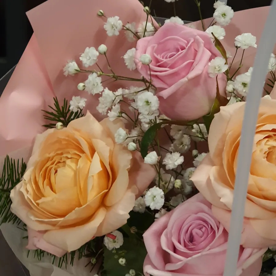 꽃방해바라기 이미지