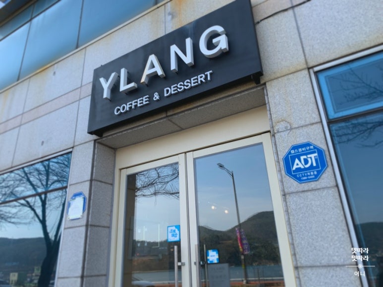 일랑더치 이미지