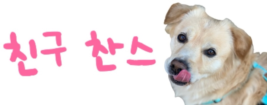 삼원칼국수 송정직영점 이미지