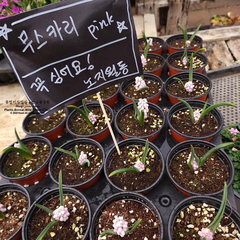 영남농원 이미지