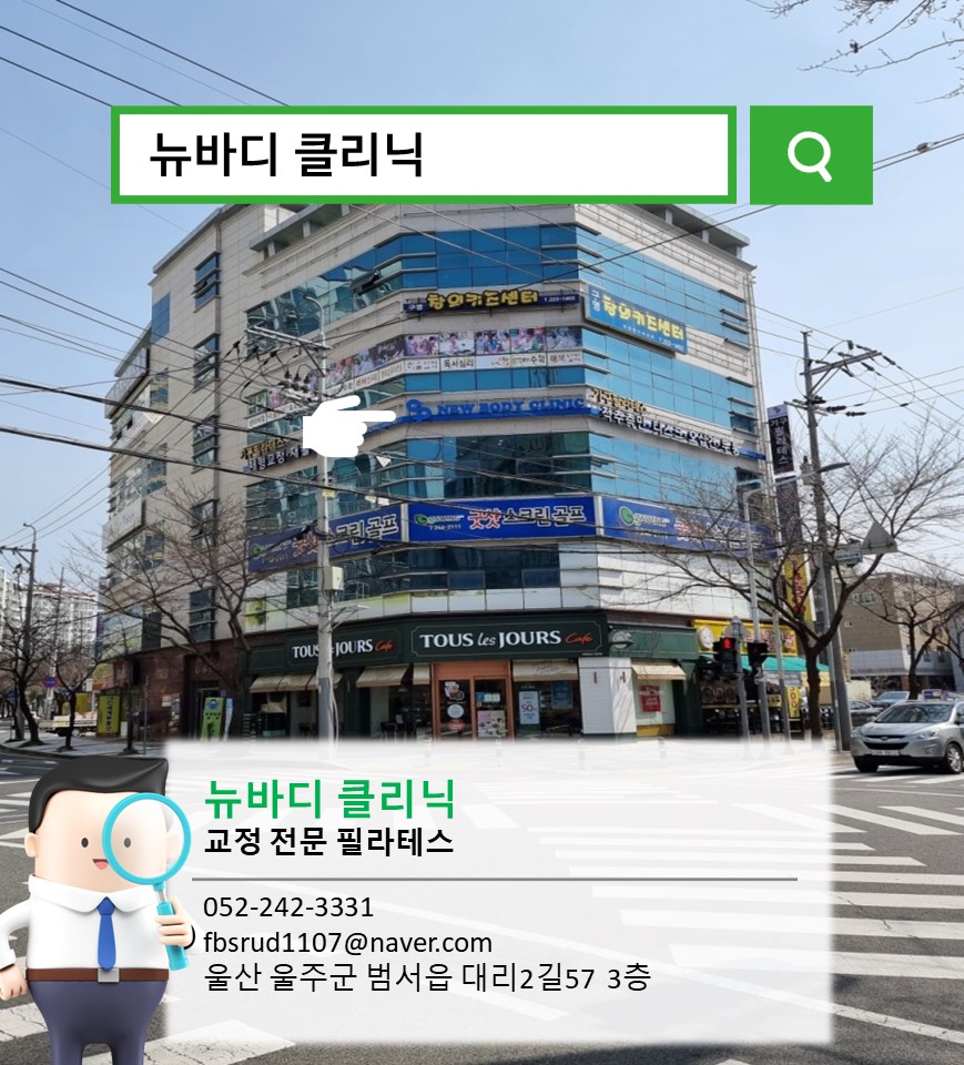 뉴바디 이미지