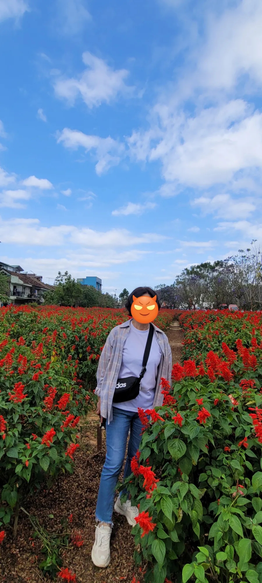 카멜리아세탁소 이미지