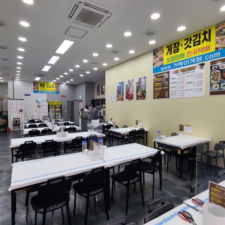 거북이 몰 이미지