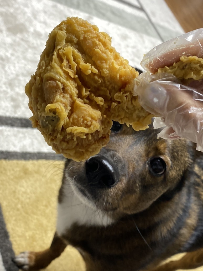치킨더홈목포하당점 이미지
