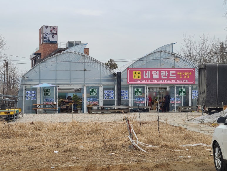다육정원네덜란드 이미지