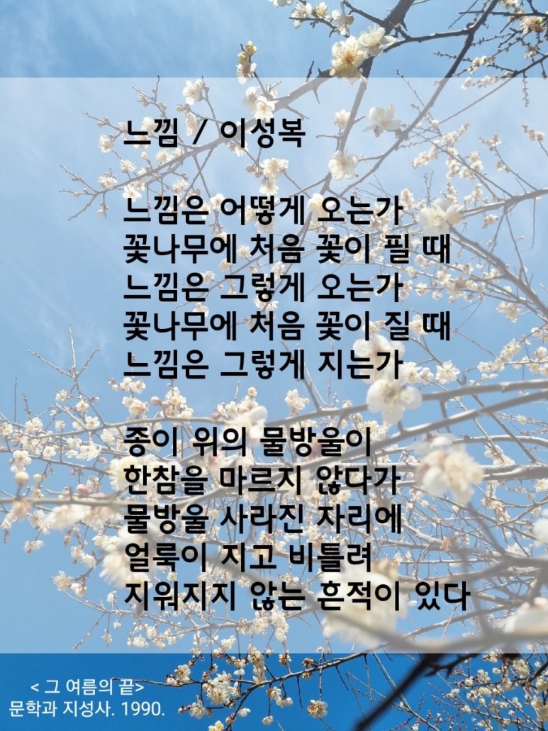 지우스 이미지