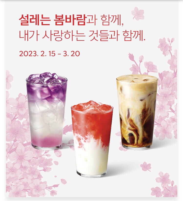 브라운블라썸 이미지