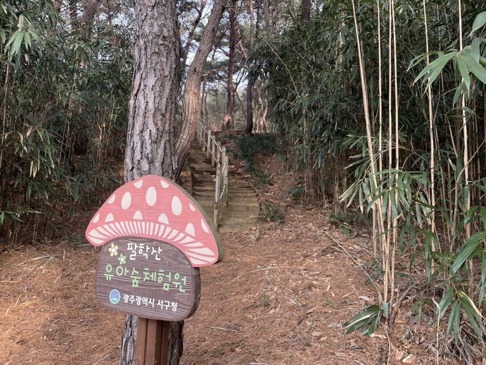 팔학산 유아숲체험원 이미지