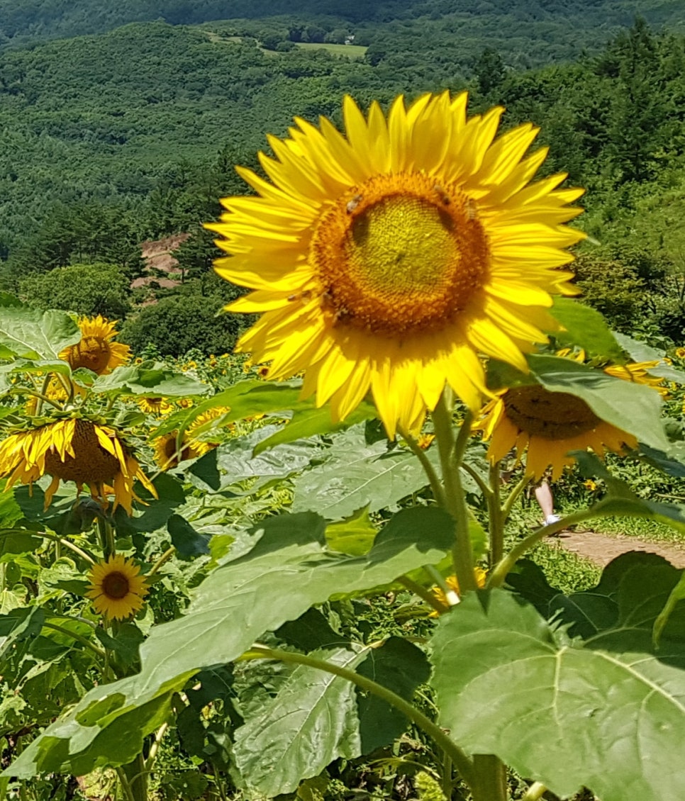 종이랑클레이랑 이미지
