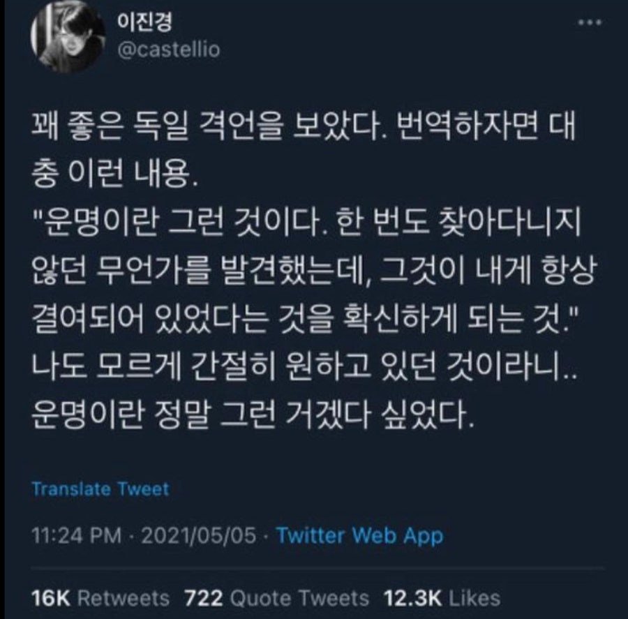 낭만실조 이미지