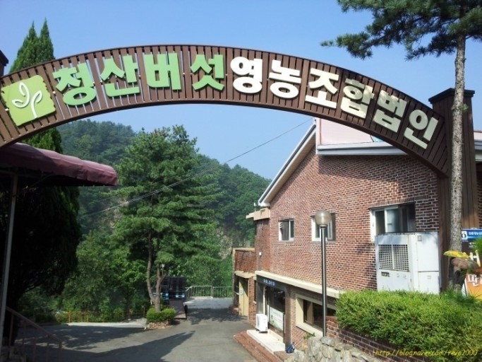 화진에너지 이미지