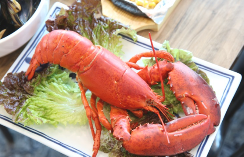 충청도7호 이미지