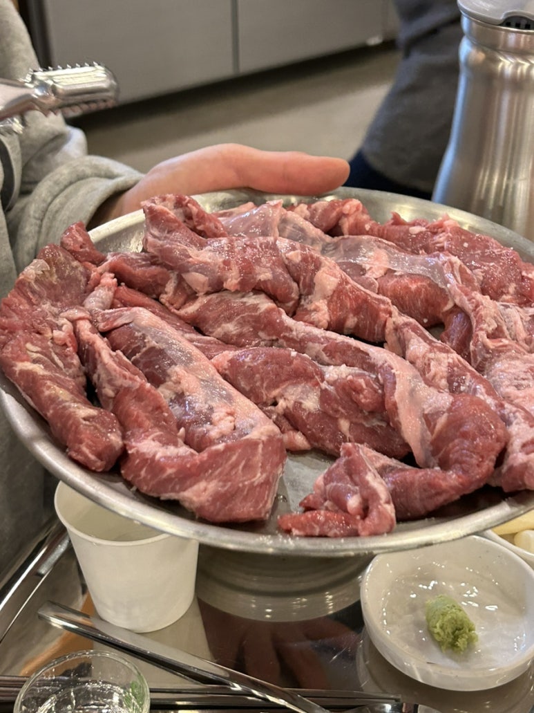 공원갈매기 이미지