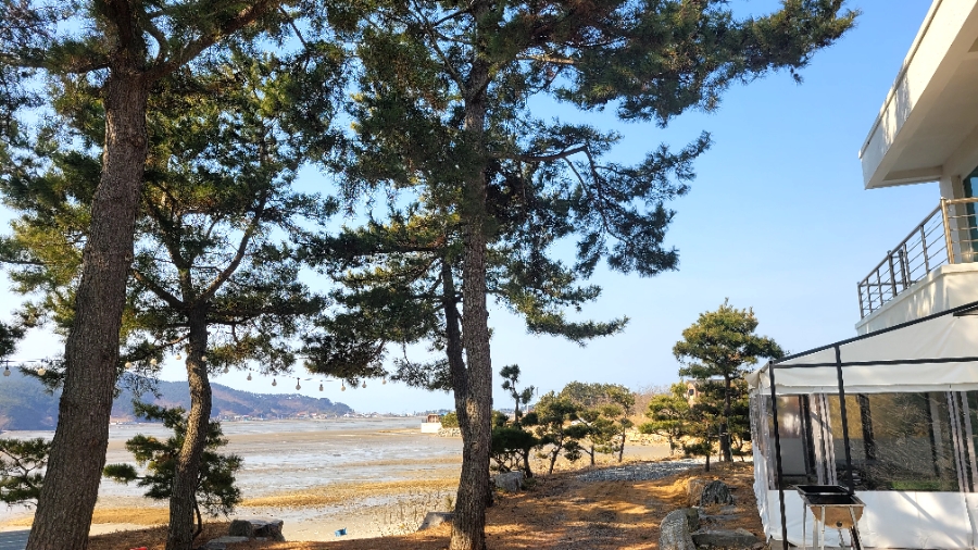 한국자격인증교육원 이미지