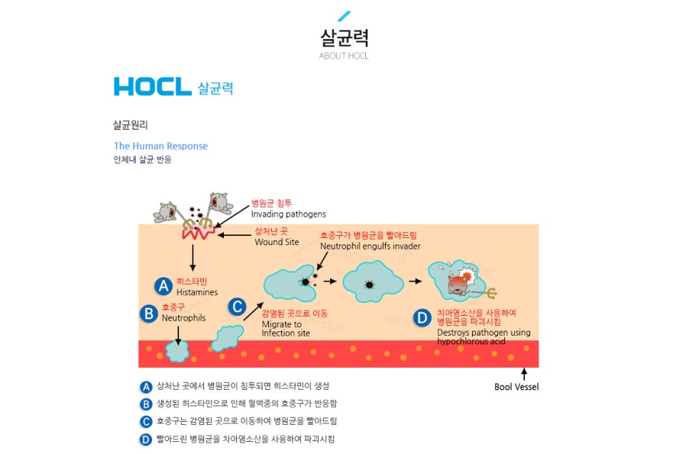 서울더정성치과 이미지