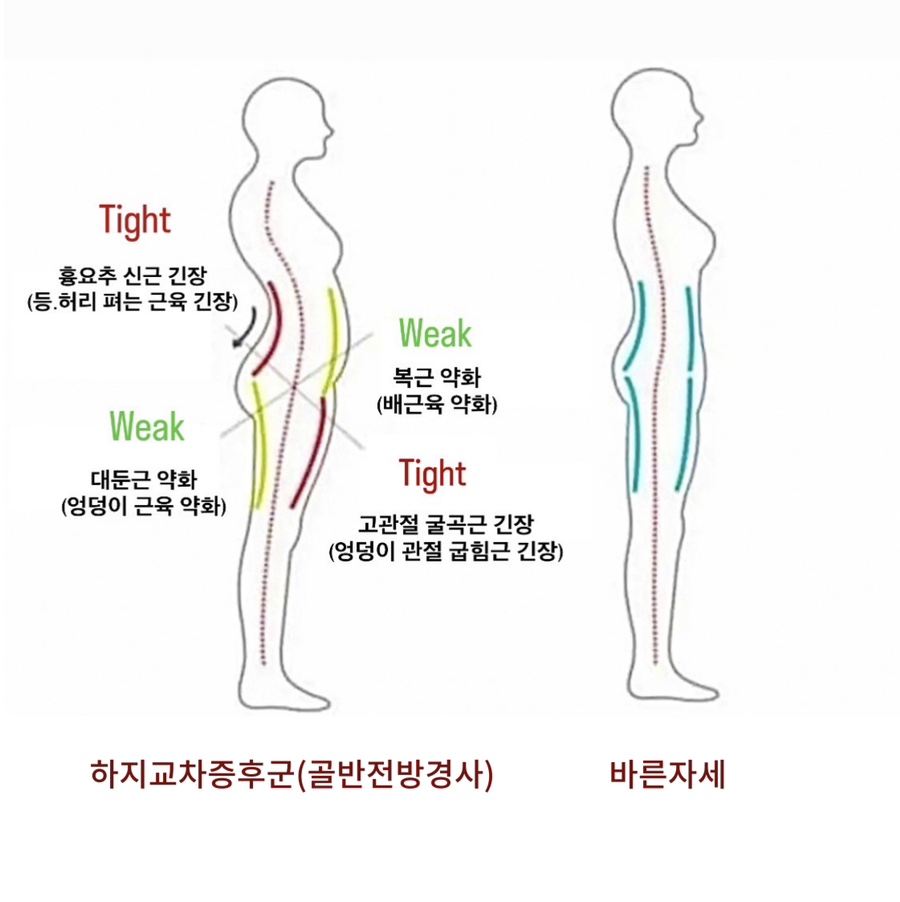 아띠무용학원 이미지