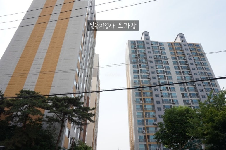 대성지업사 이미지