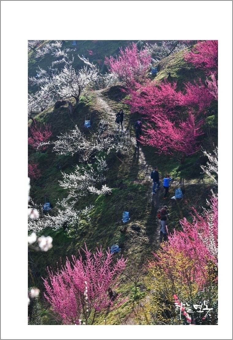 (주)남도연구소 이미지