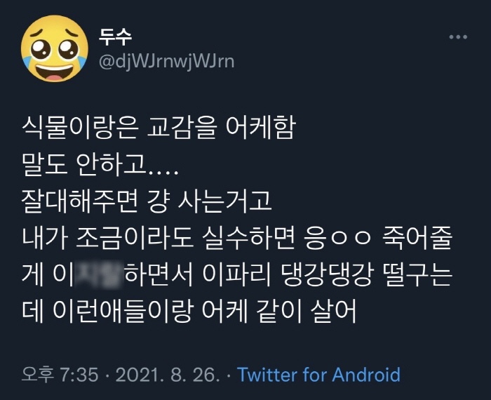 제주일상게스트하우스 이미지