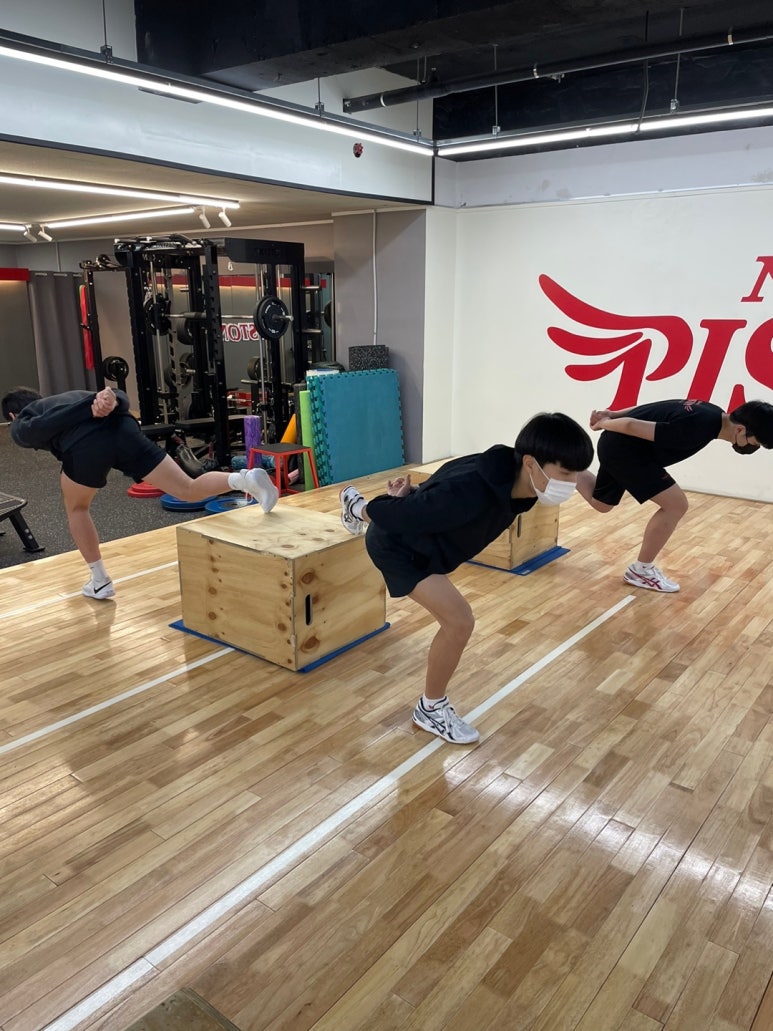 노원피스톤체대입시 이미지
