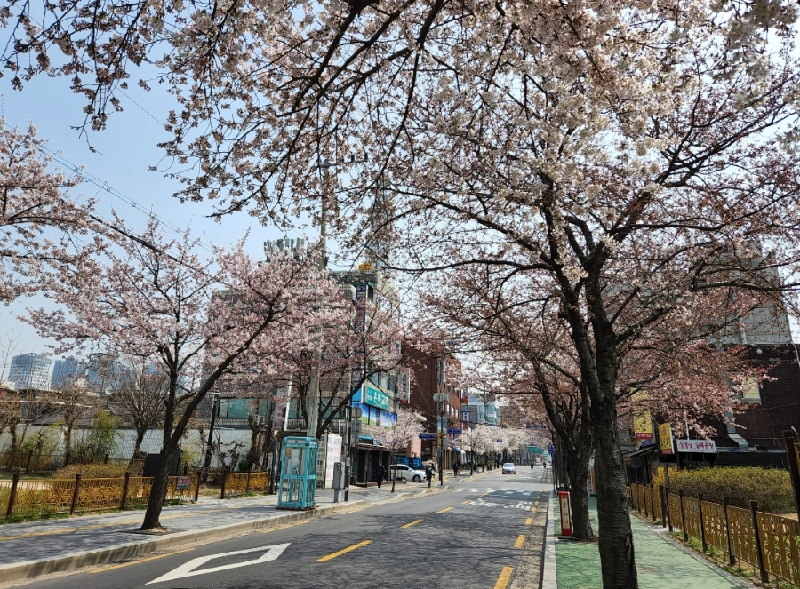 공안과병원 이미지