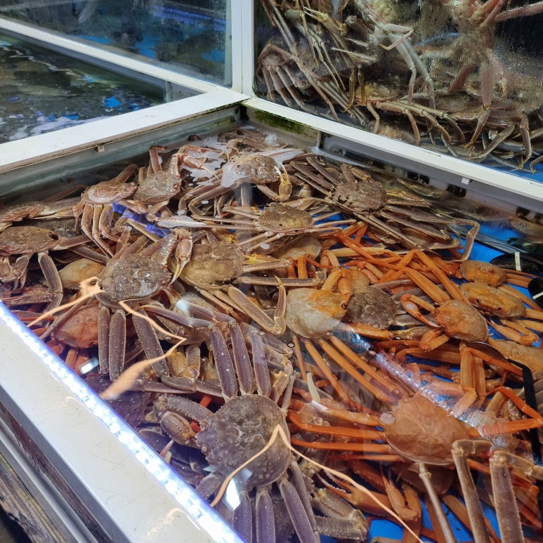 머구리횟집 이미지