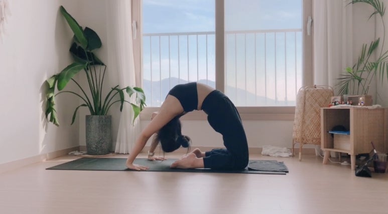 바름지니 이미지