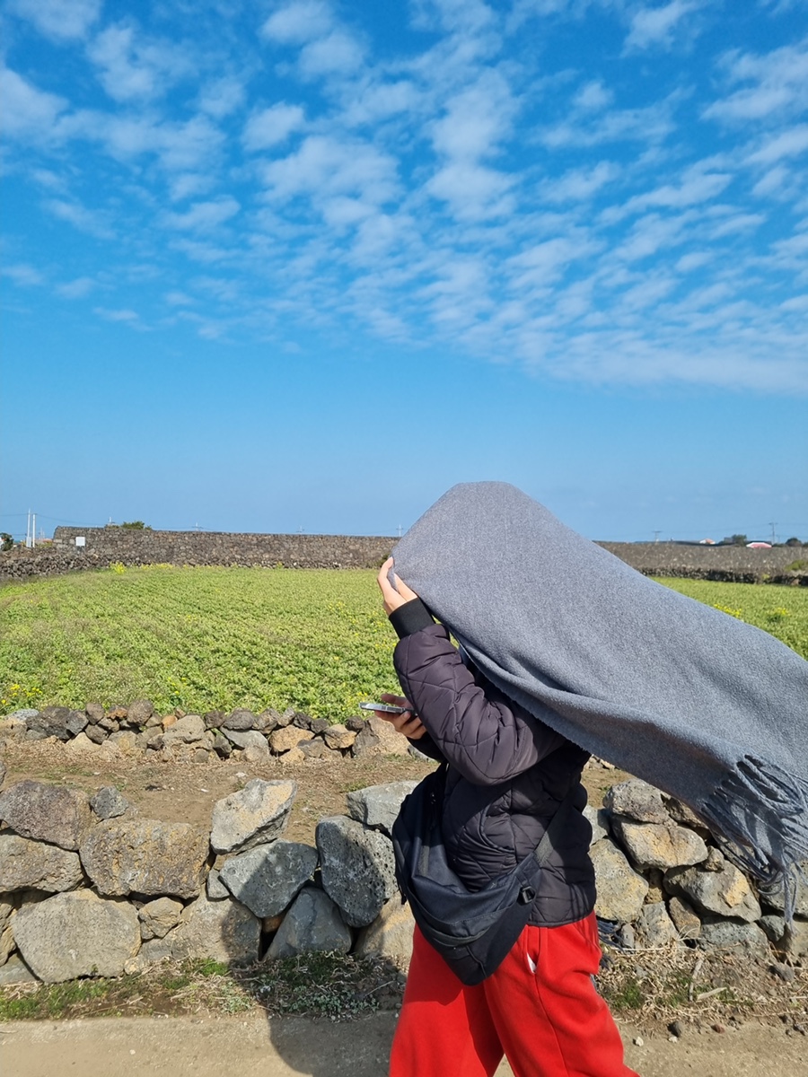 제주일상게스트하우스 이미지