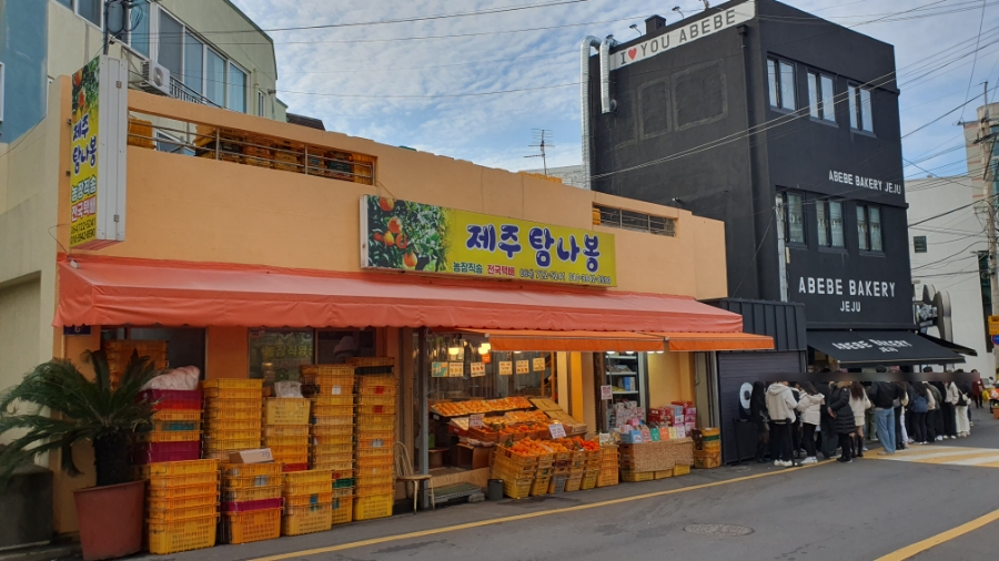 제주노란농수산 이미지