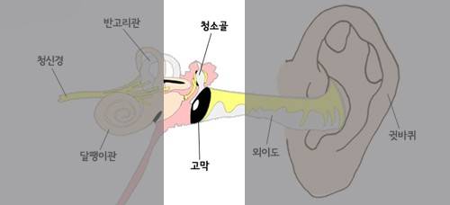 막고막창 이미지