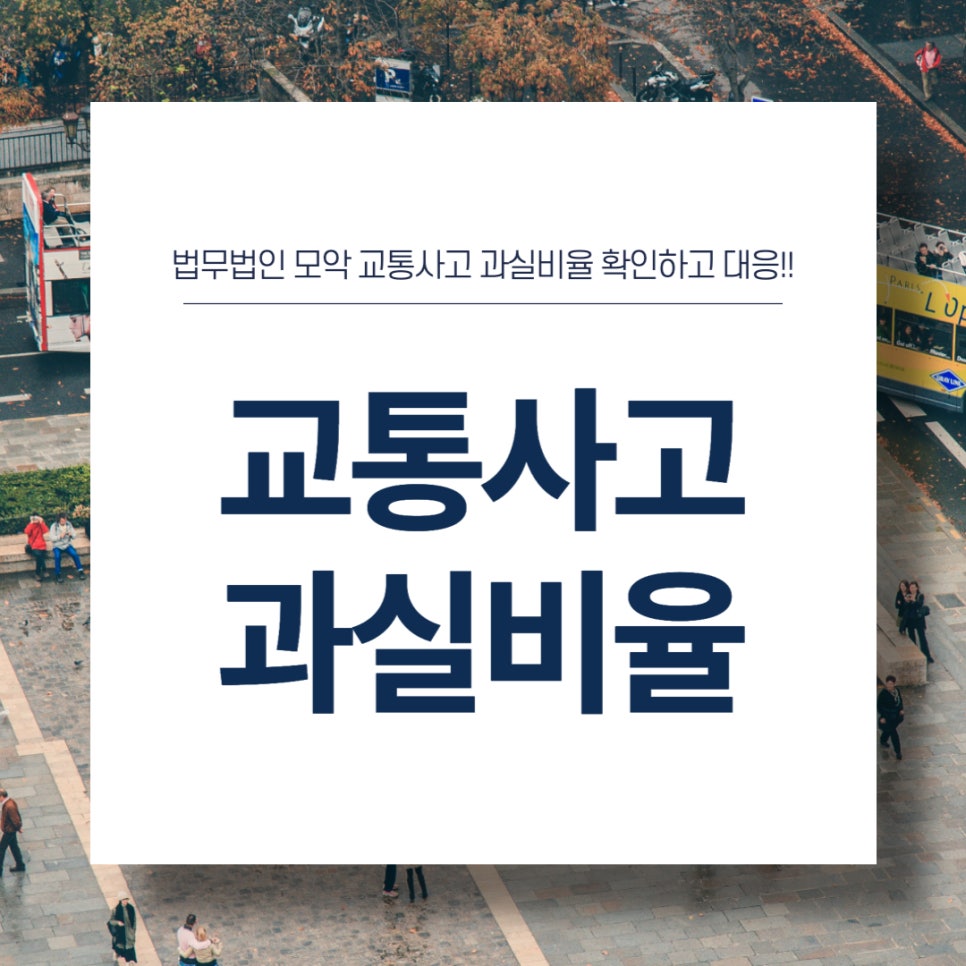 법무법인모악부안분사무소 이미지