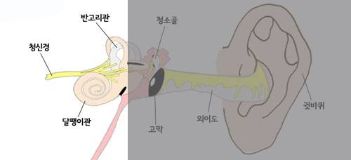 막고막창 이미지