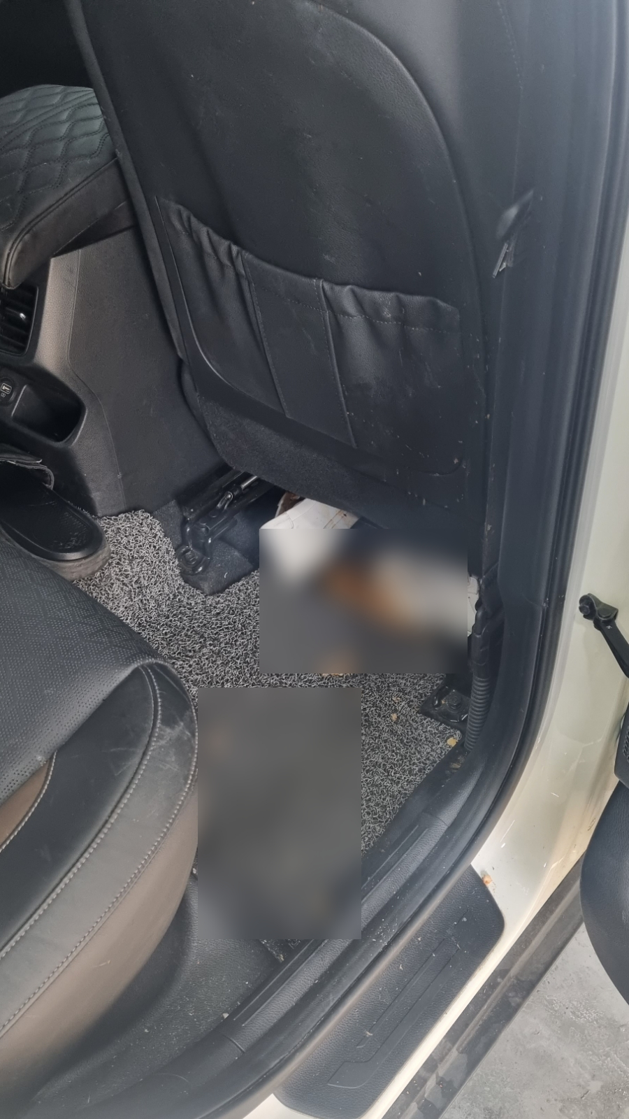 제이앤씨스팀카케어 이미지