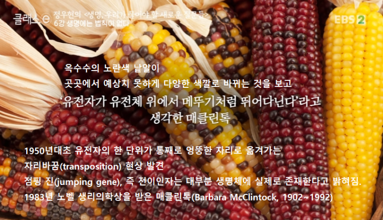 영원한현재 이미지