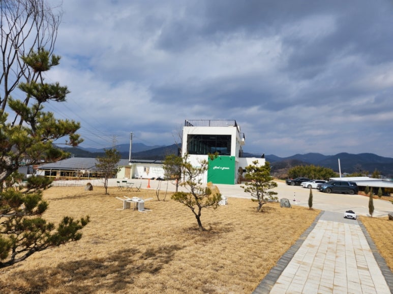 헤더그린 이미지