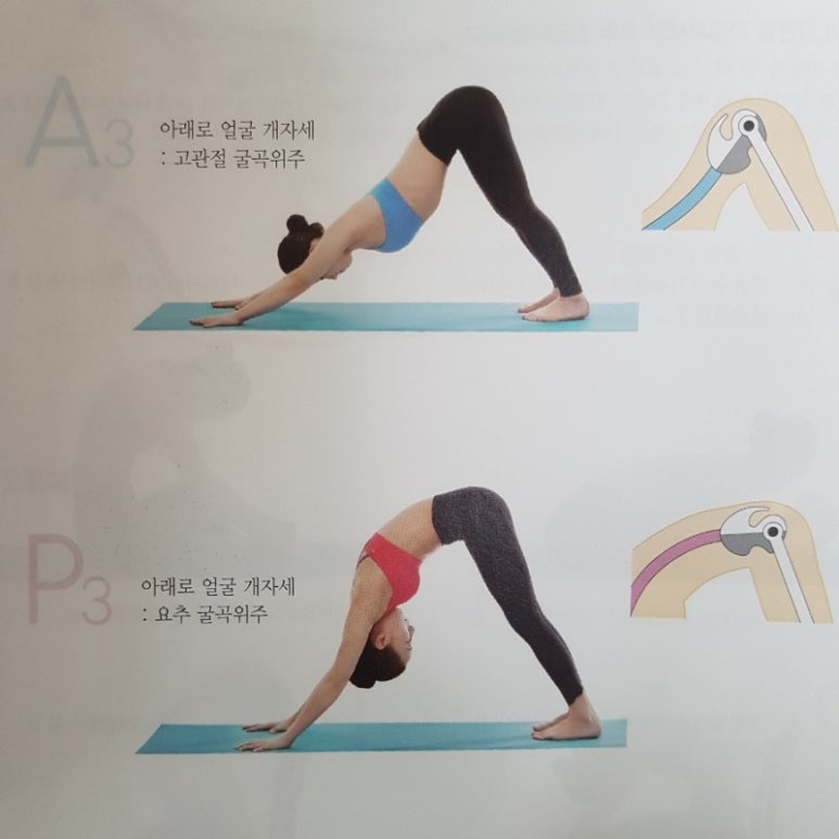 무카 이미지