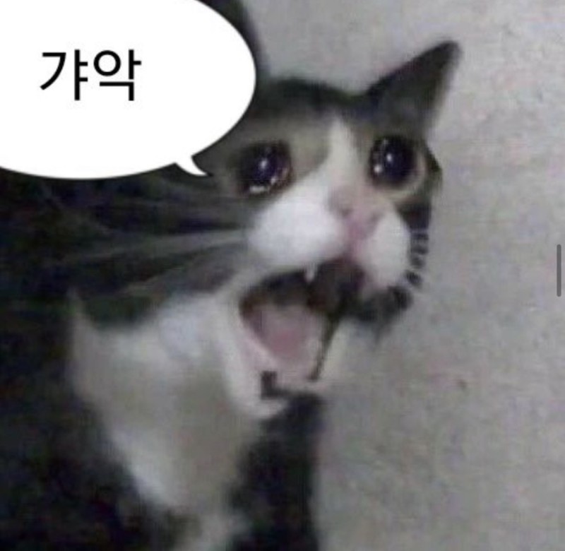 랑만 이미지