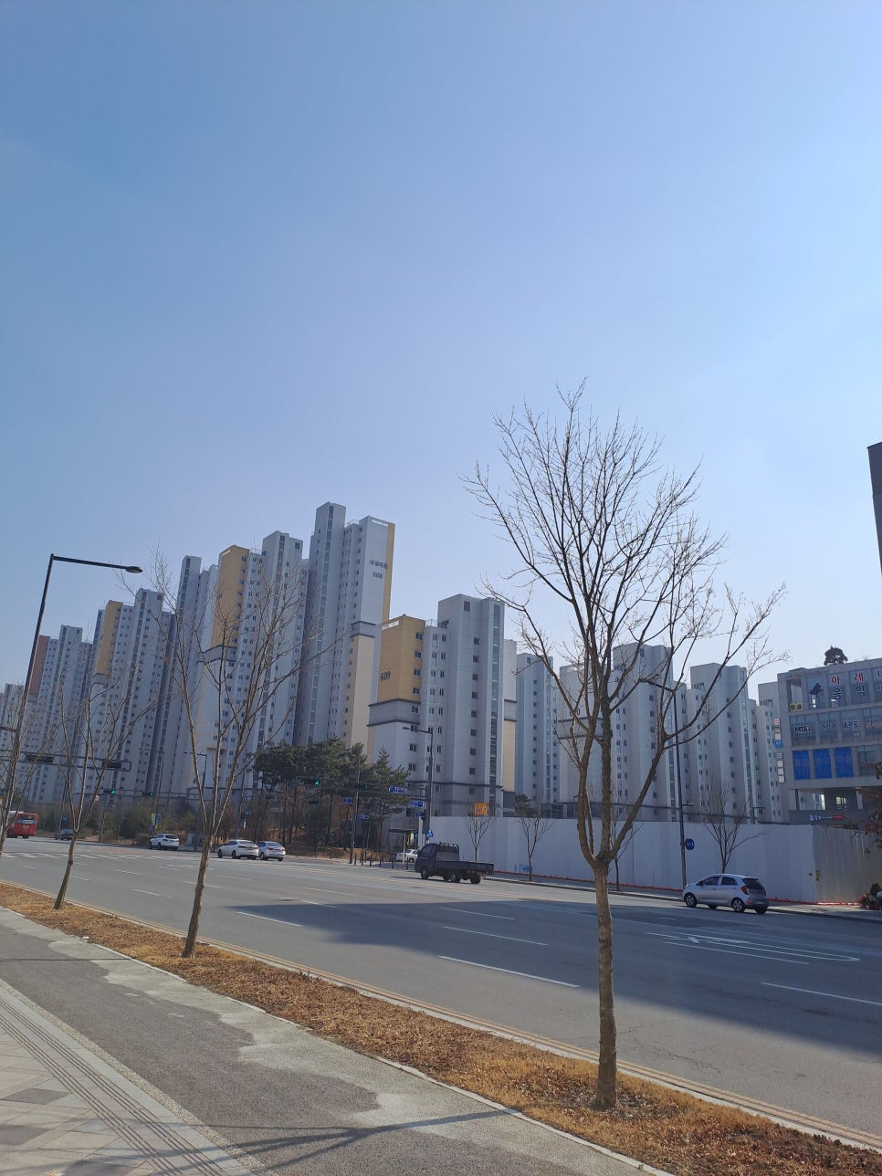 새샘푸드 이미지