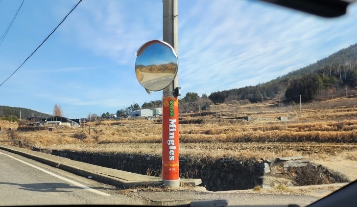 체험카페 밍글스 이미지