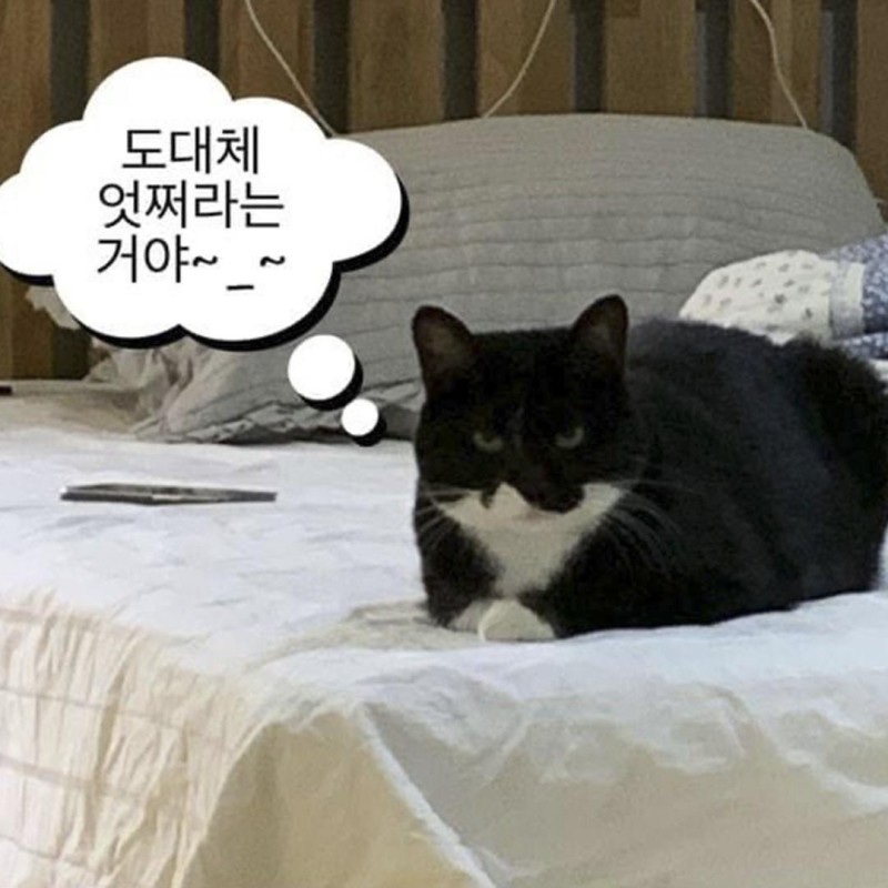 랑만 이미지