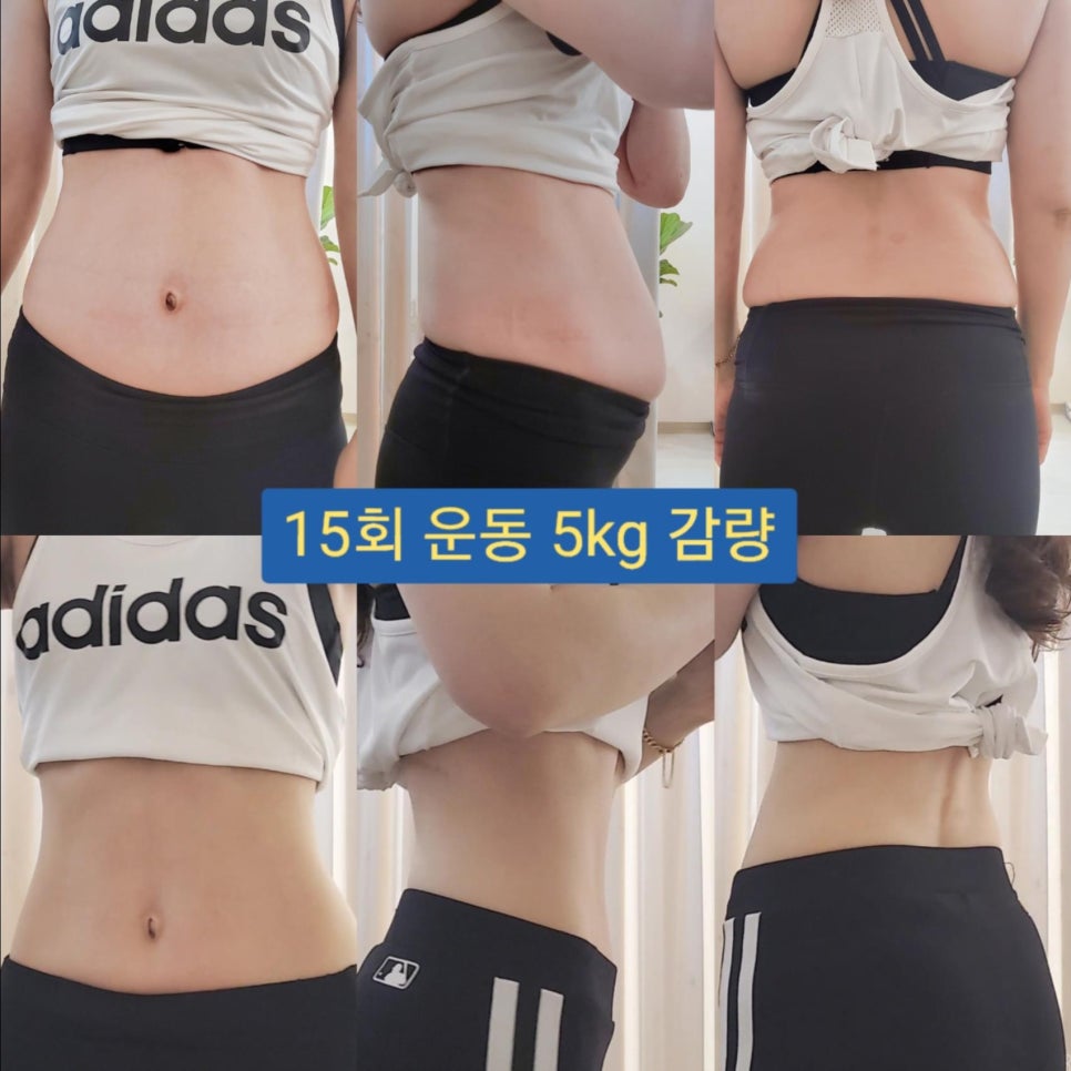 더이지솔루션 이미지