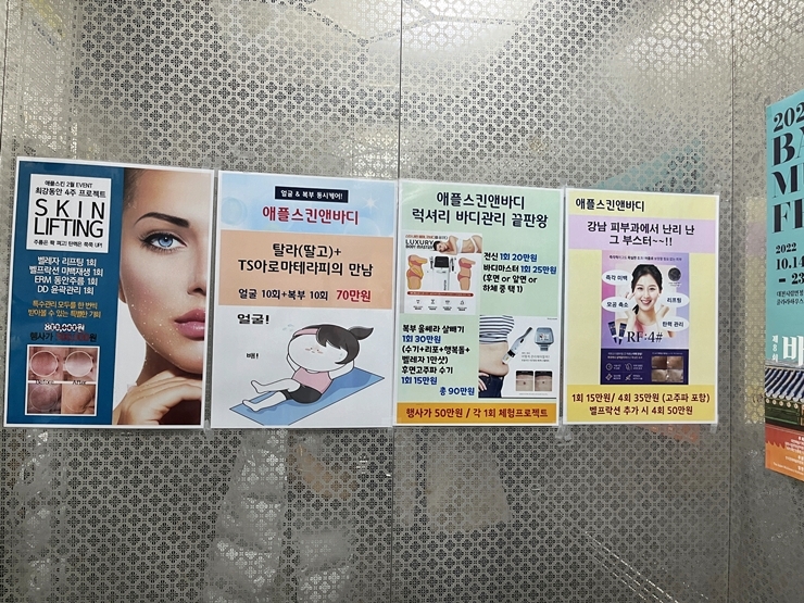 애플스킨 이미지