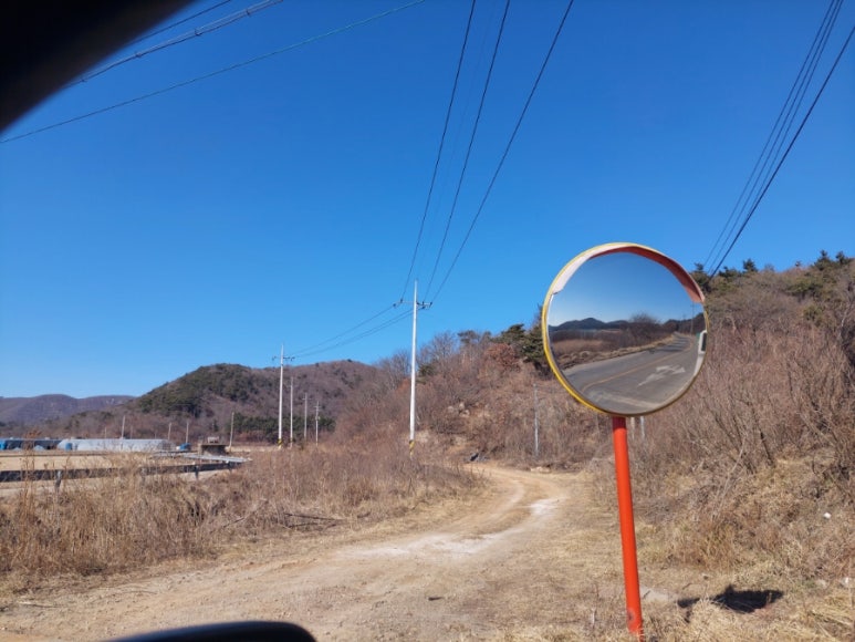 야보아스 이미지