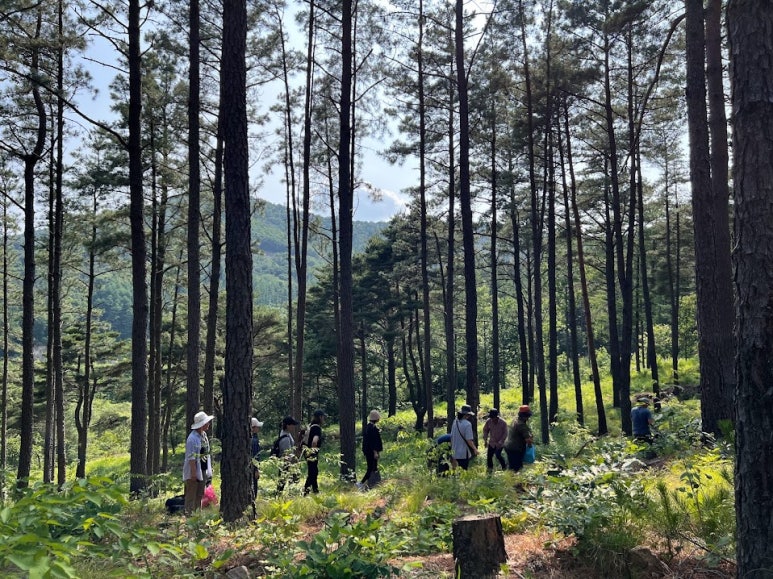 푸른숲사회적협동조합 이미지