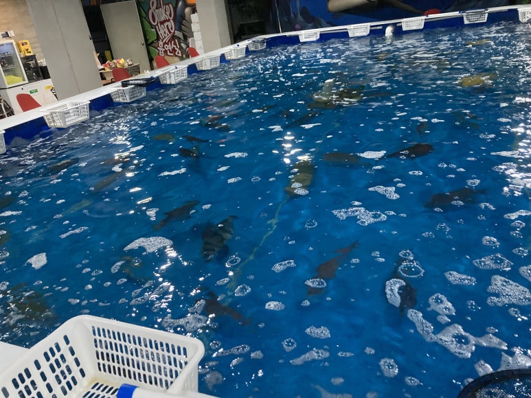 빅히트바다낚시터 이미지