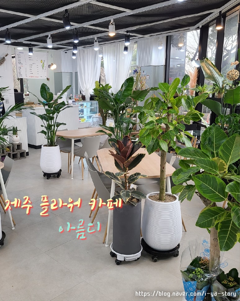 아름디 이미지