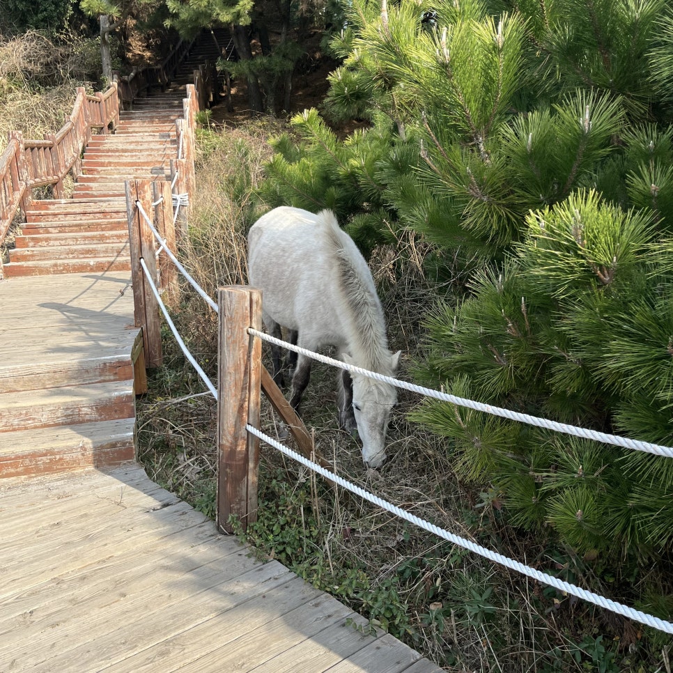 사계우리음식점 이미지