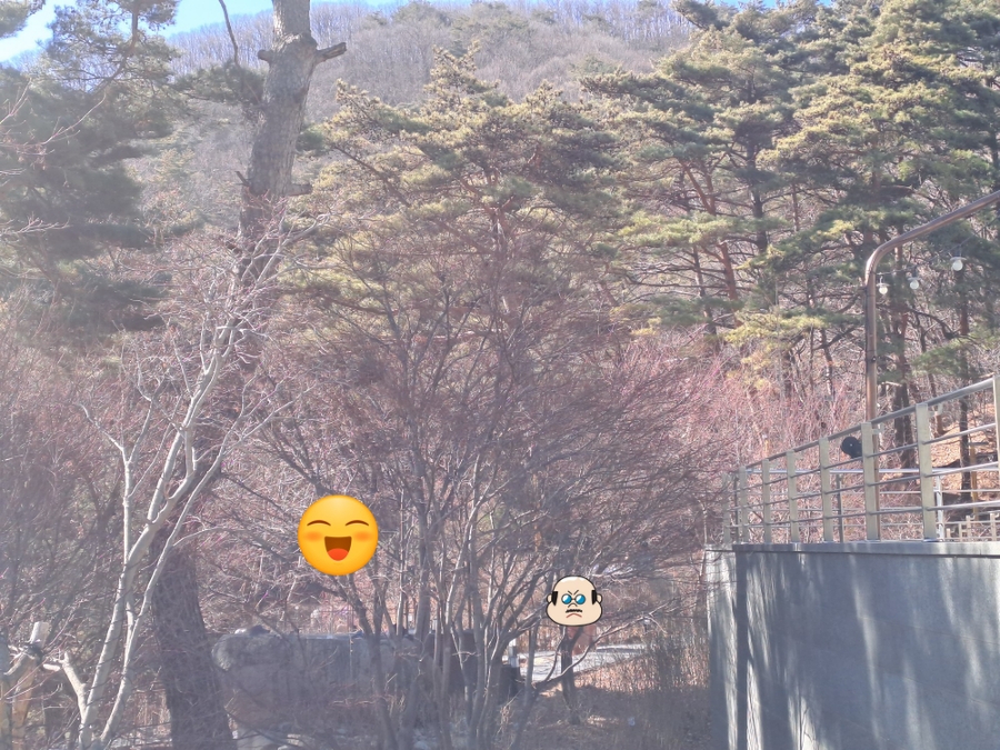 인생샷없음 이미지