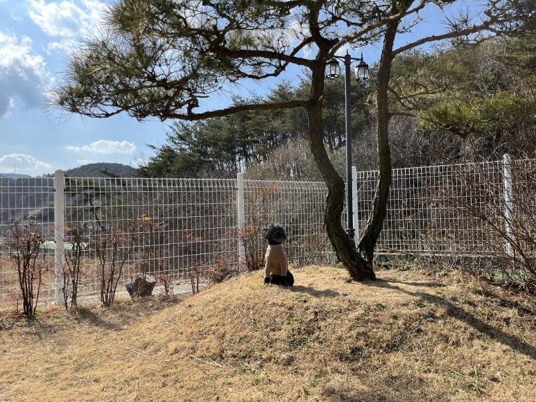 평화세차장 이미지