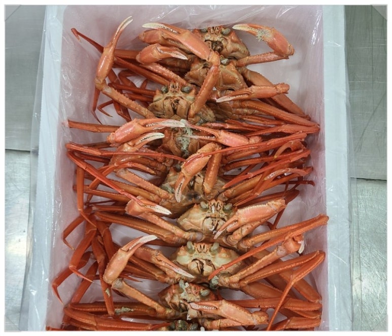 주문수산 이미지